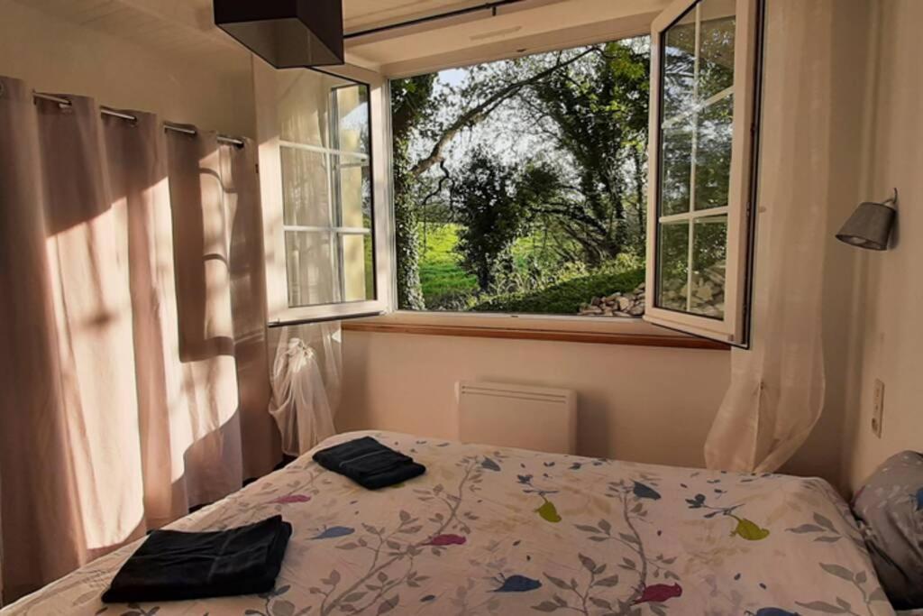 12 Rdc Appartement 2 Chambres Jardin Terrasse Plonéour-Lanvern Kültér fotó